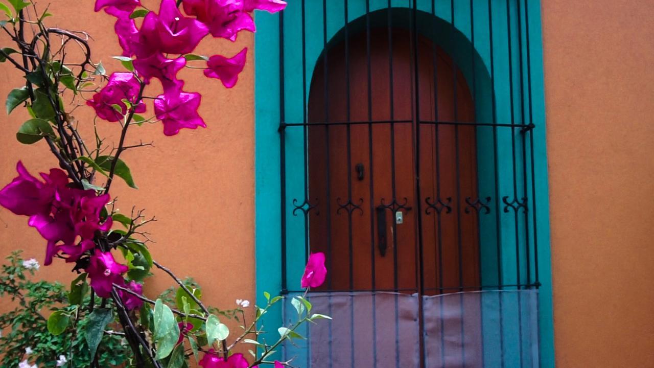 Casa Frida B&B Oaxaca Esterno foto