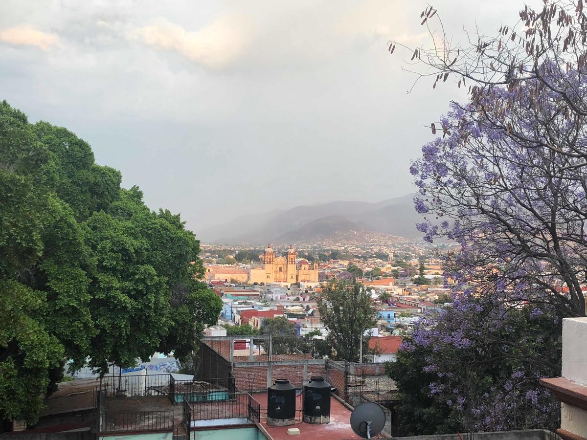 Casa Frida B&B Oaxaca Esterno foto